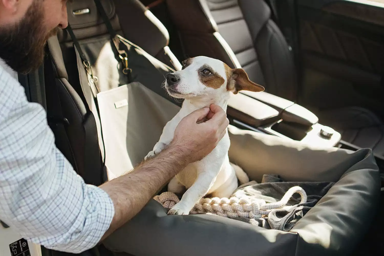 Toyota RAV4 Dog Car Seat for French Bulldogs