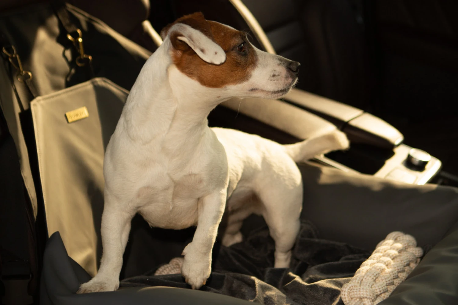 Toyota RAV4 Dog Car Seat for French Bulldogs